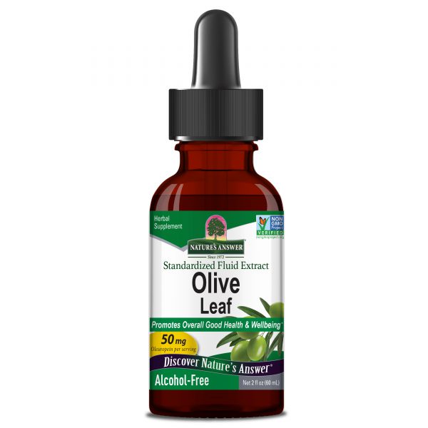 OleoPein Olive Leaf (Standardized) Alcohol Free - 2 fl oz